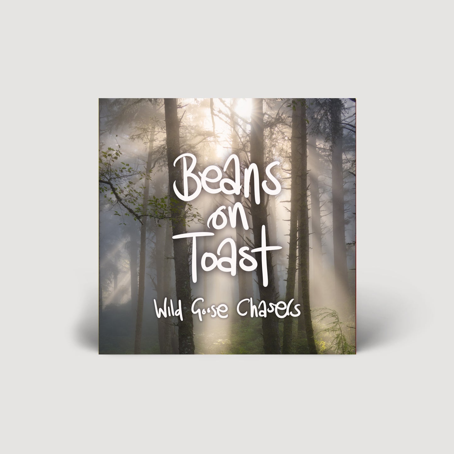 Wild Goose Chasers CD